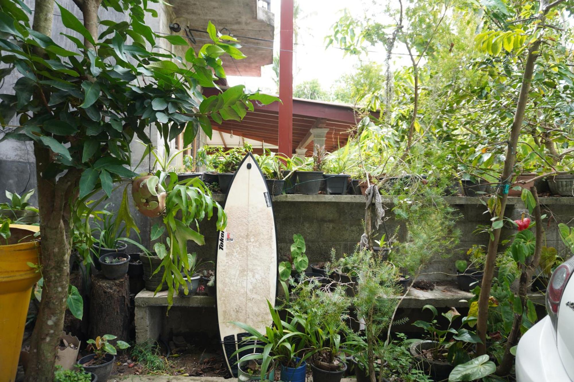 Passionfruit Homestay Matara Kültér fotó